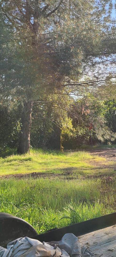 10470 Chicharra Ct - Photo 1