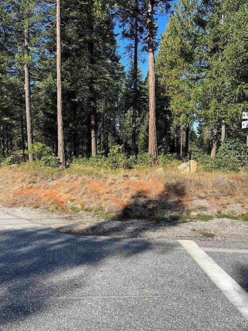 14344 Banner Quaker Hill Rd - Photo 1