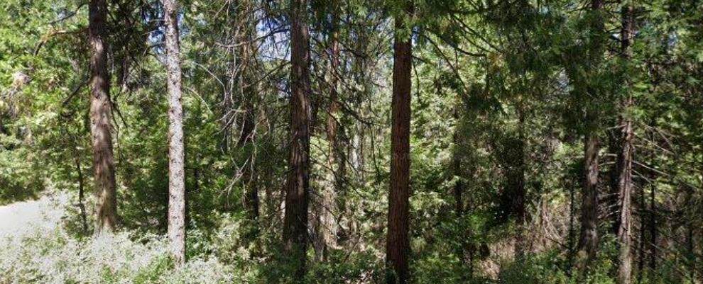 166 Higdon Rd - Photo 1