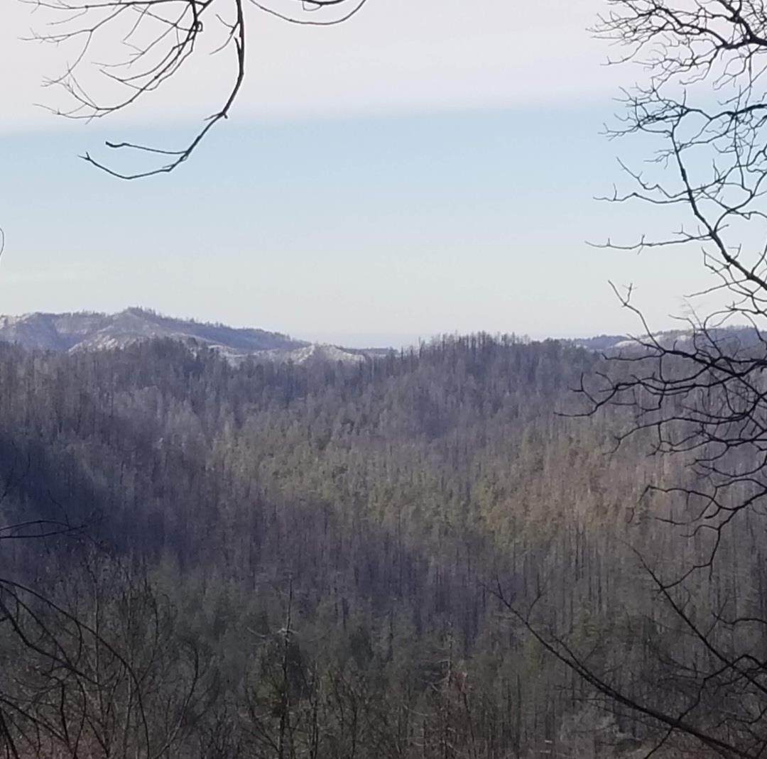 20604 Little Basin Rd - Photo 1