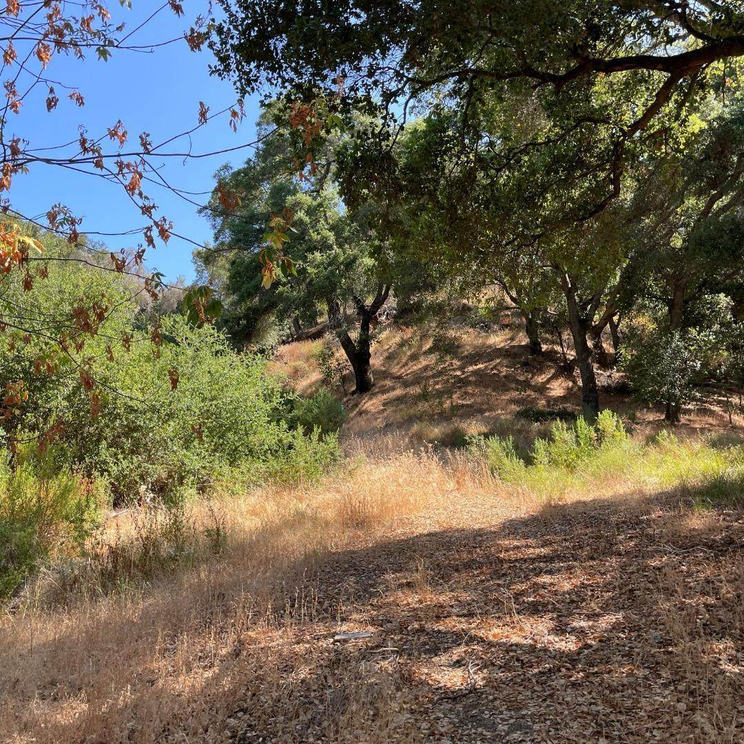 15580 Armsby Ln - Photo 1