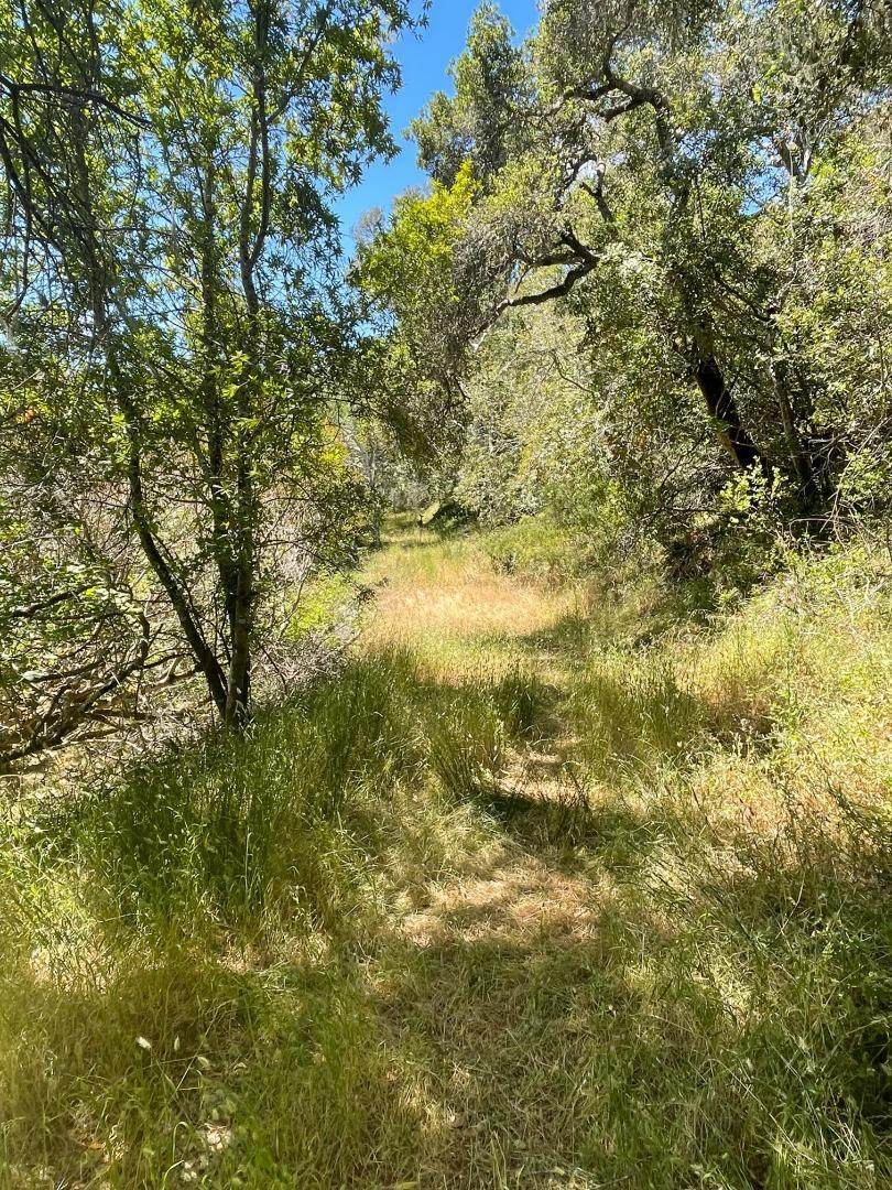 0 Crystal Springs Rd - Photo 1