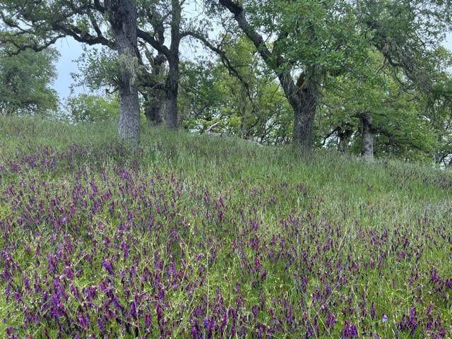 0 Lambert Flat Rd - Photo 1