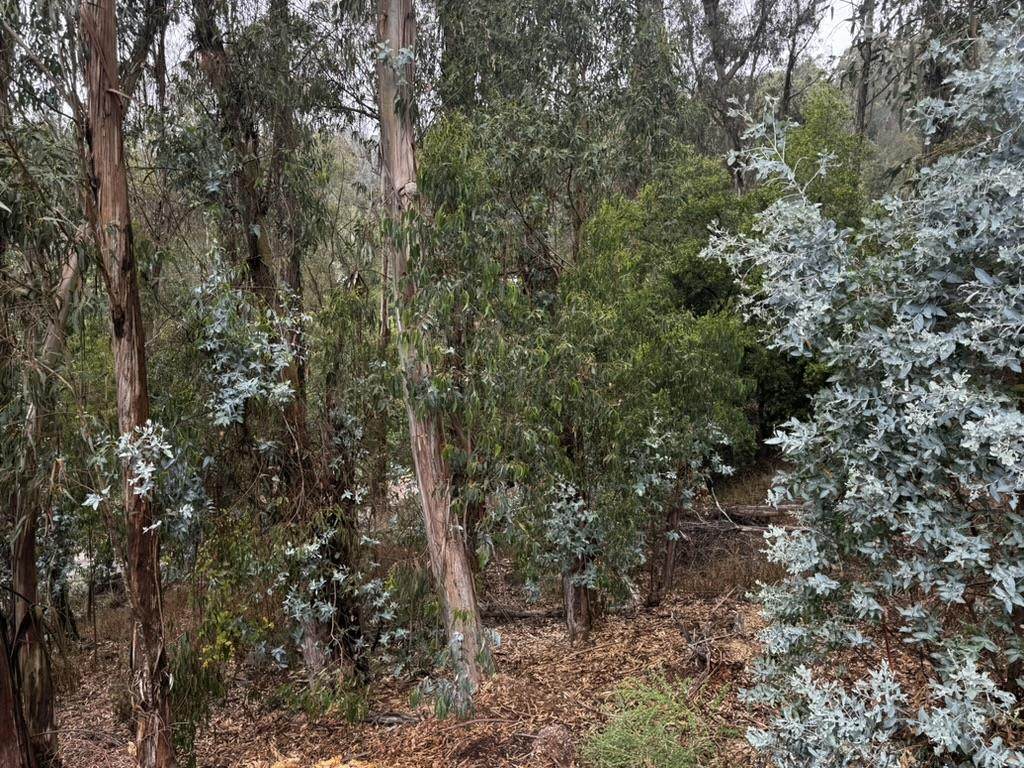 6567 Thornhill Dr - Photo 1