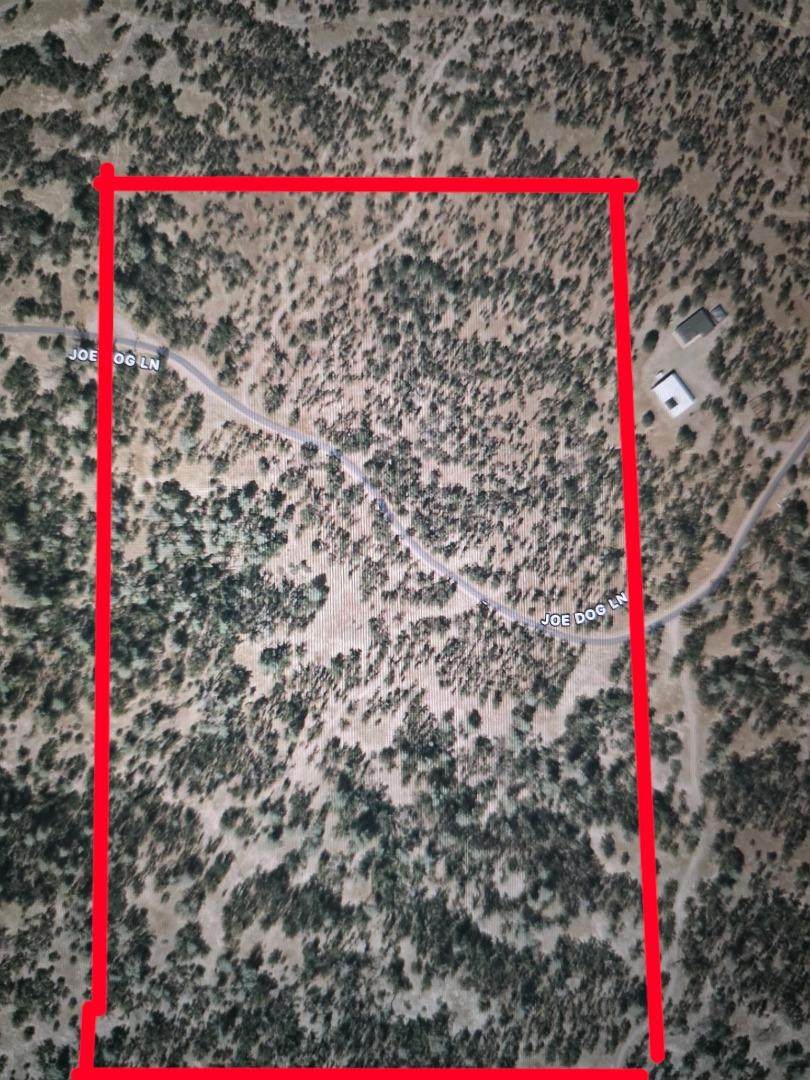 Lot 25 Joe Dog Ln - Photo 1