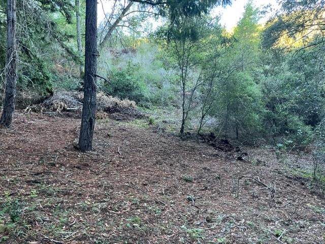 0 Redwood Retreat Rd - Photo 1