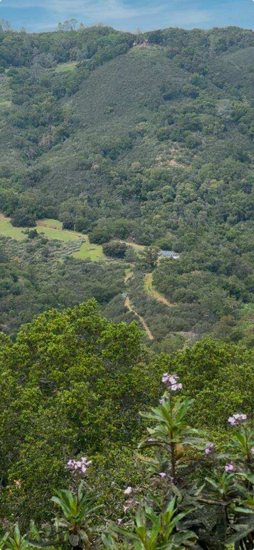 0 O Uvas Road - Photo 1