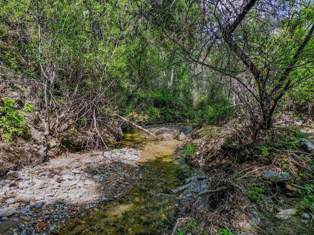 43575 Carmel Valley Rd - Photo 1