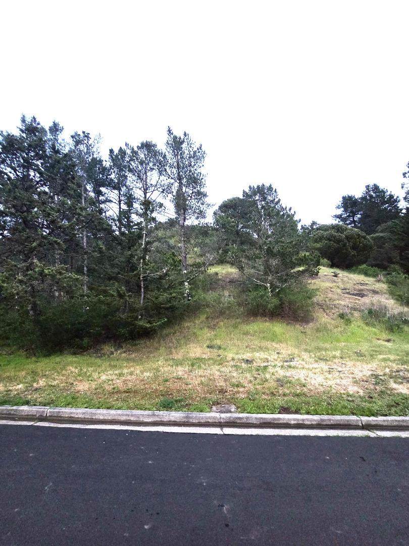 20 Barton Pl - Photo 1