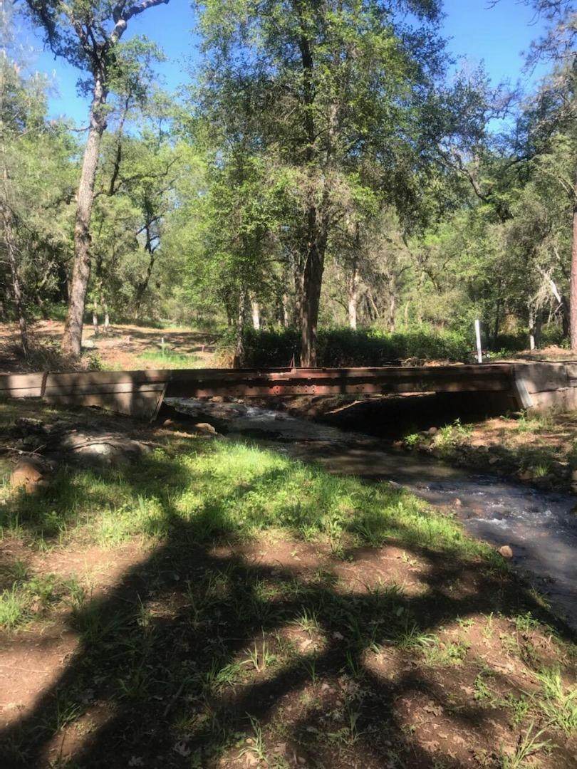 10255 Turkey Trot Pl - Photo 1