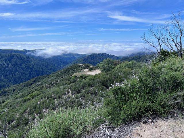 10 Long Ridge, Palo Colorado Rd - Photo 1