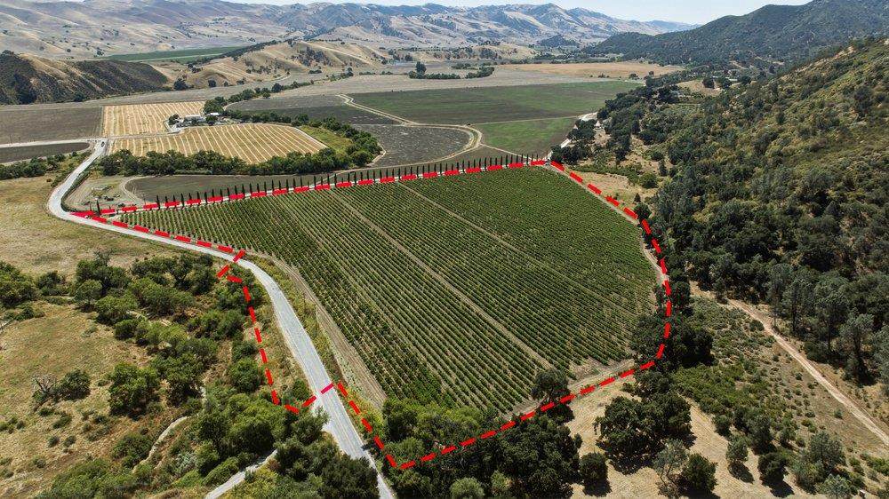 24.5 Acres Cienega Rd - Photo 1
