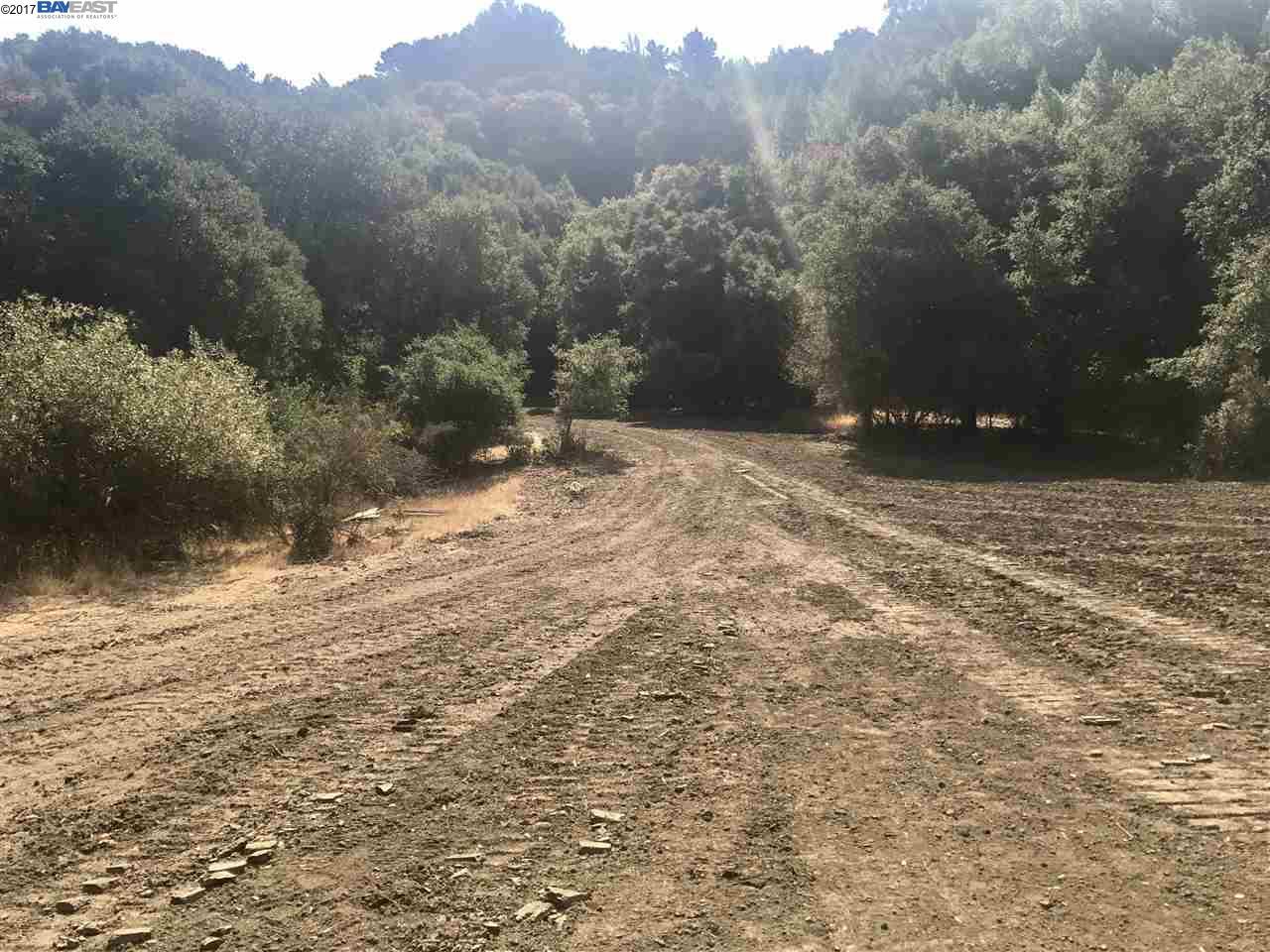 0 Oak Springs - Photo 1