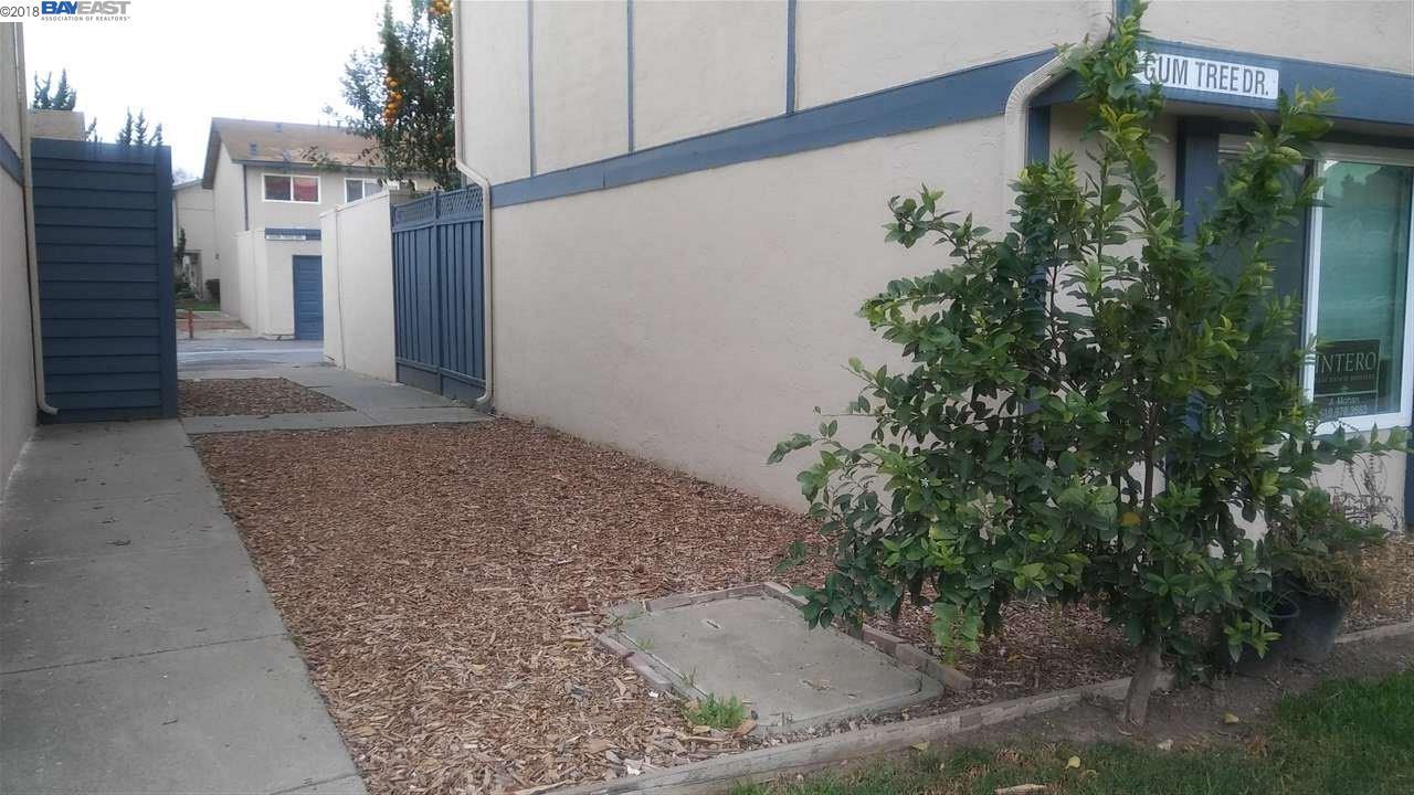 3583 Gum Tree Dr - Photo 1
