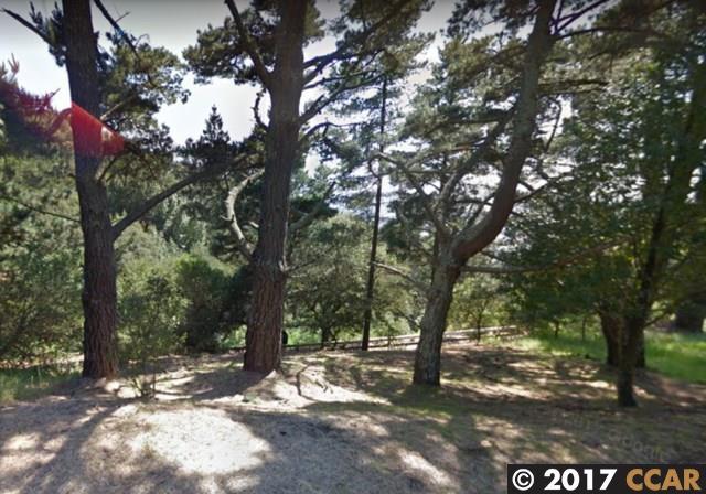 898 Panoramic Way - Photo 1