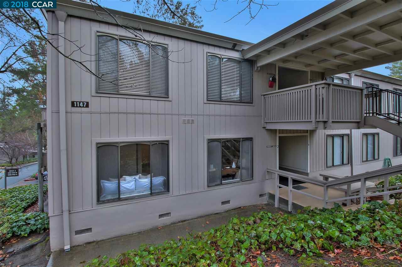 1147 Running Springs Rd - Photo 1