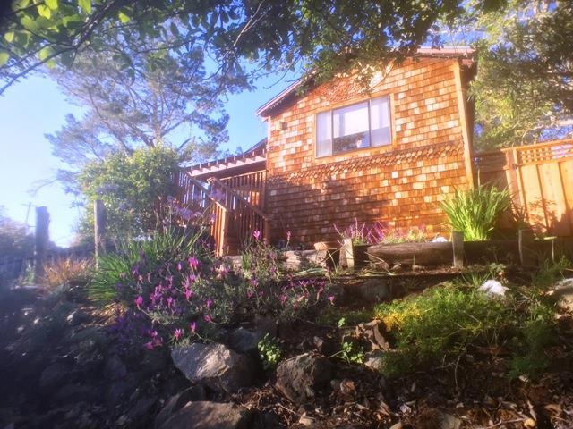 550 Lakeview, Redwood City, CA 94062 (#ML81647886) :: The Gilmartin Group