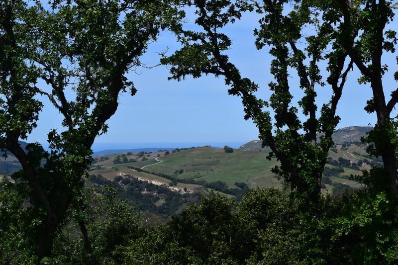 13 Long Ridge Trl - Photo 1