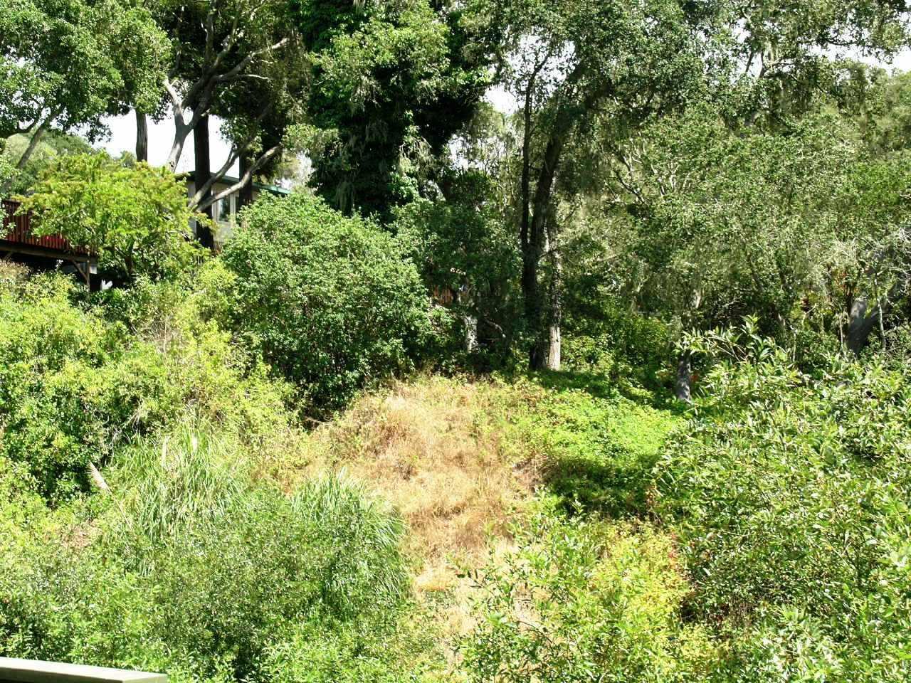 0 Treasure Island Dr - Photo 1