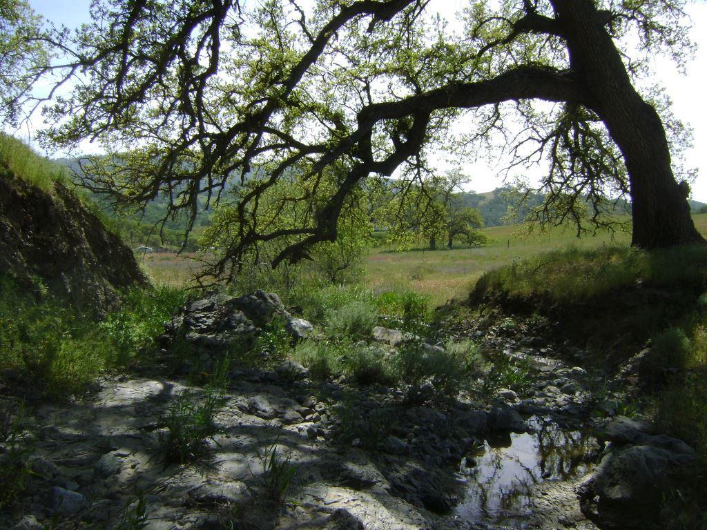 Lot 60 Panoche Rd - Photo 1