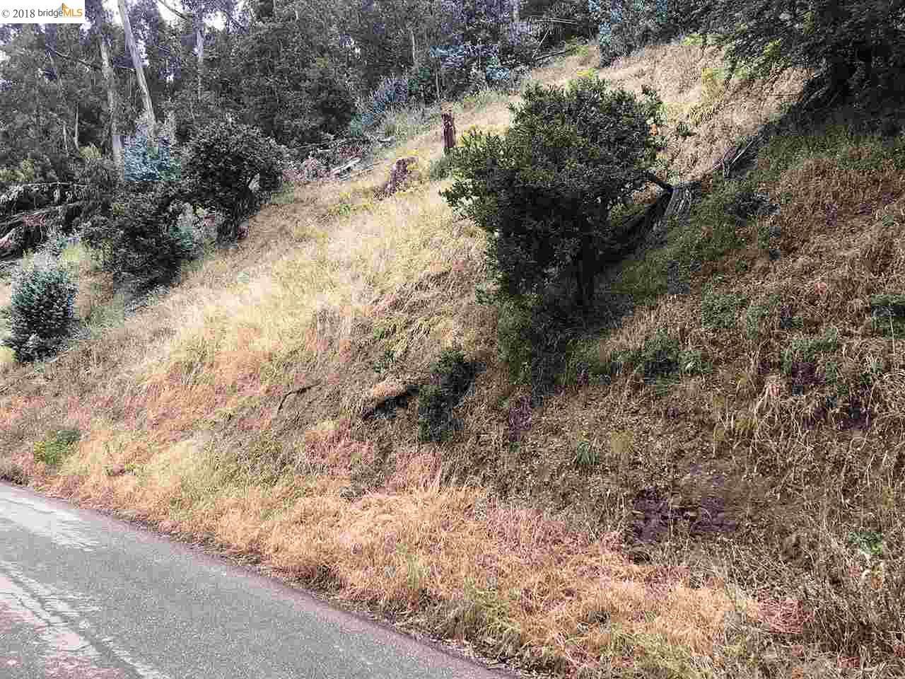 0 Scout Rd - Photo 1