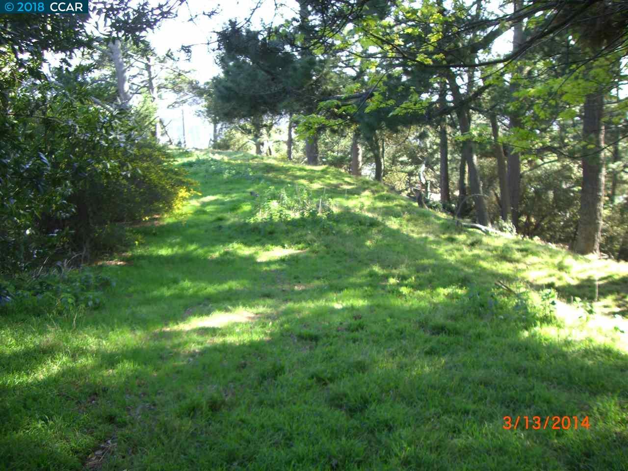 6060 Grizzly Peak Blvd - Photo 1