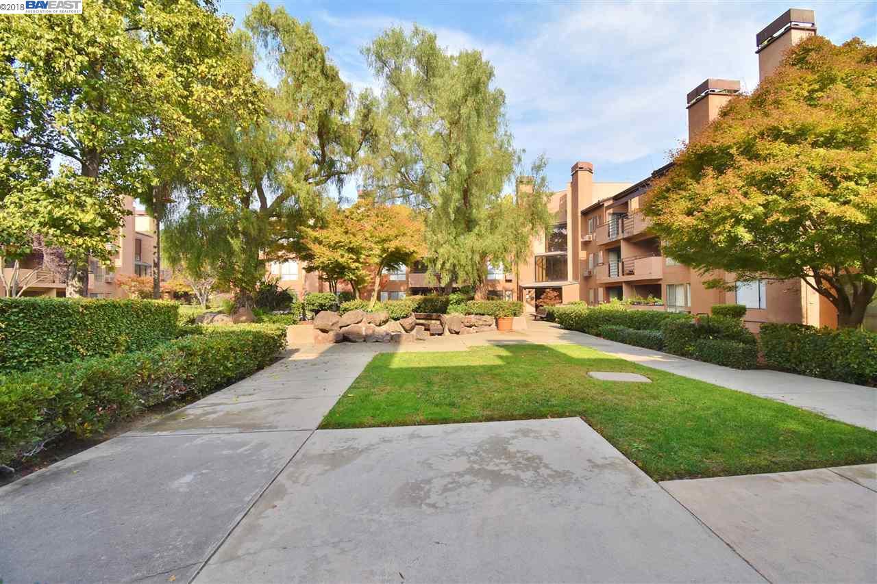 39219 Guardino Dr - Photo 1