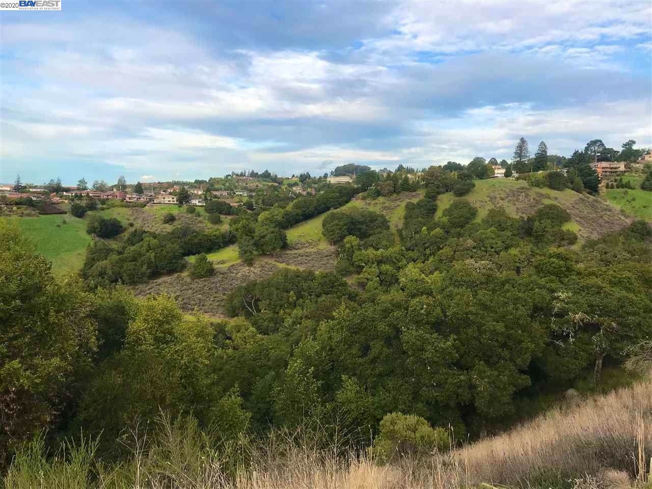 27670 Vista Bahia Way - Photo 1