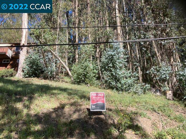 Pinehaven Road - Photo 1