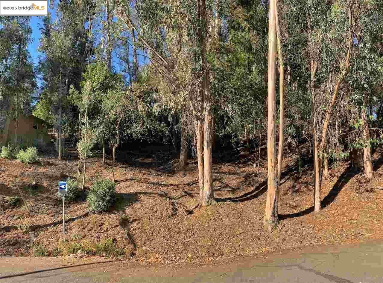 6696 Moore Dr - Photo 1