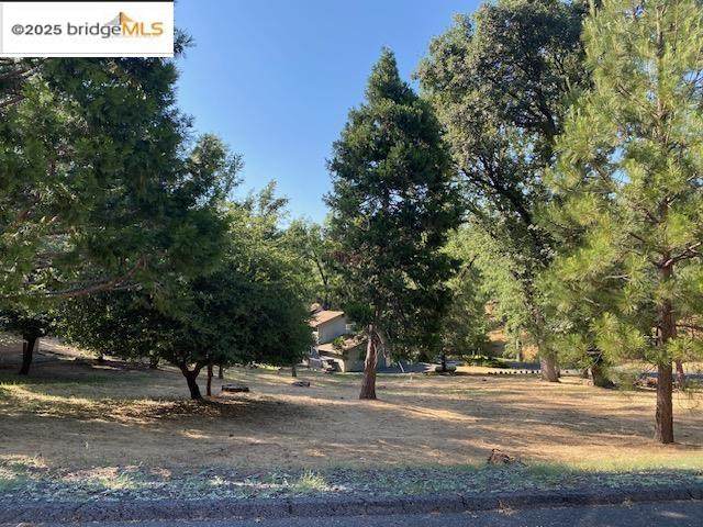 20782 Buttercup Circle - Photo 1