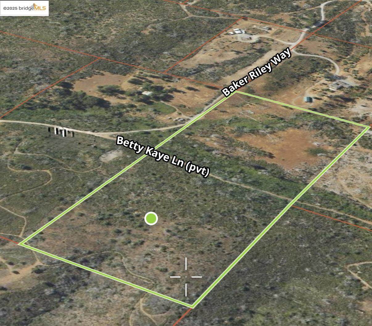 17074 Betty Kaye Lane - Photo 1