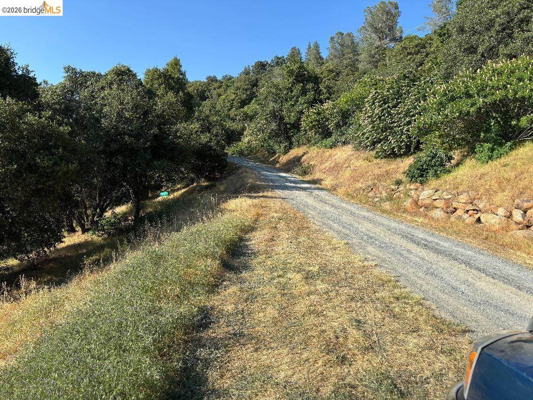 lot #27 Blue Oak Gulch Rd - Photo 1