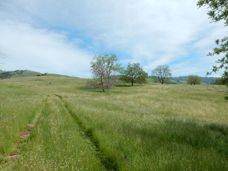 3412 Fowler Rd - Photo 1