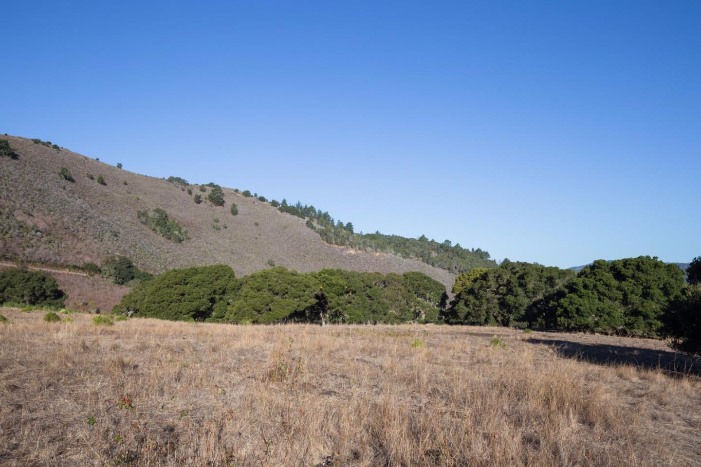 10 Wild Boar Run - Photo 1