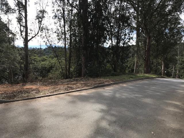 0 Walker Valley Road Rd - Photo 1
