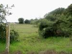16244 Blackie Rd - Photo 1