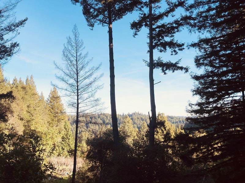 0 Branson Ranch Rd - Photo 1