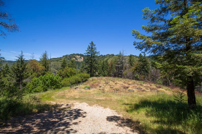 Hartman Creek Rd - Photo 1