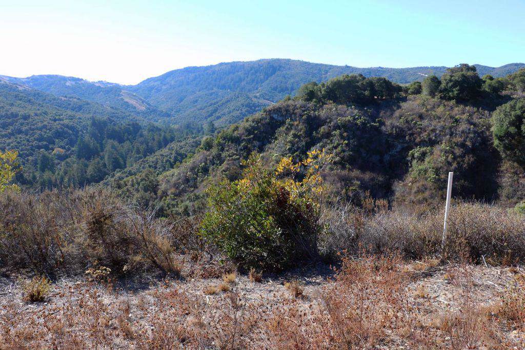 4 Holding Field Run - Photo 1