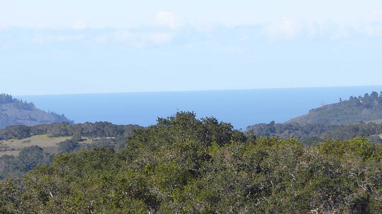 11750 Camino Escondido Rd - Photo 1