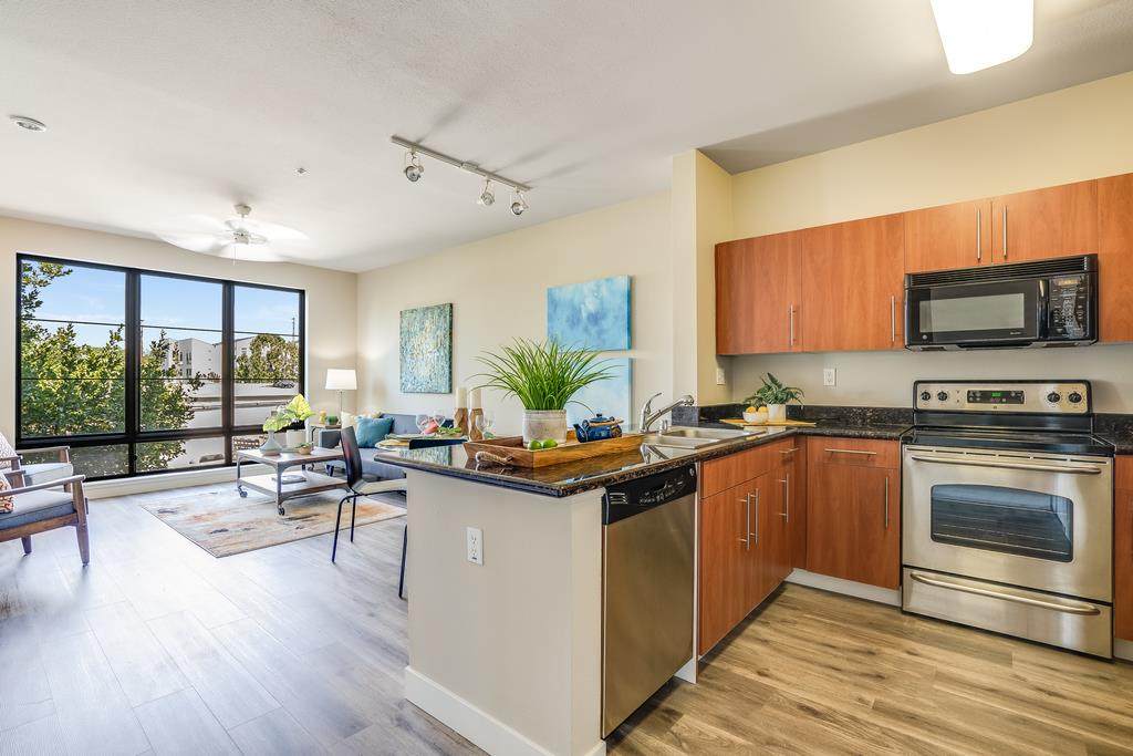 1060 3rd St 251 - Photo 1