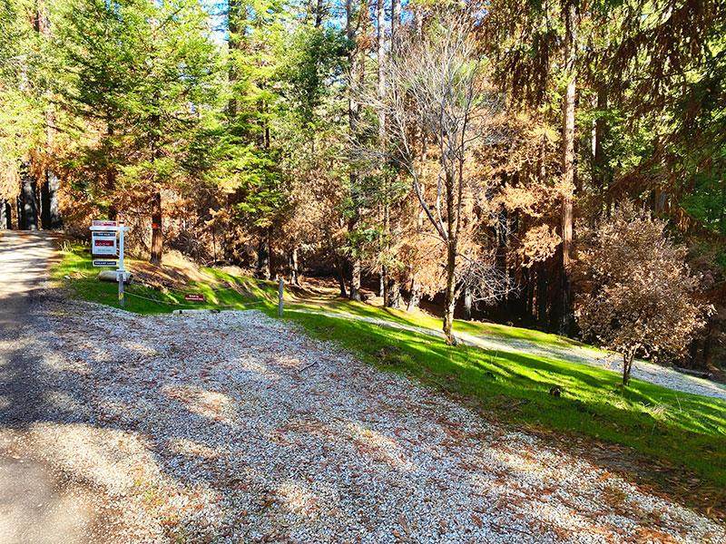 Lot 59 Kings Highway - Photo 1