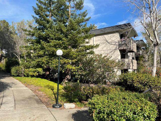 1127 Shelter Creek Ln 127 - Photo 1