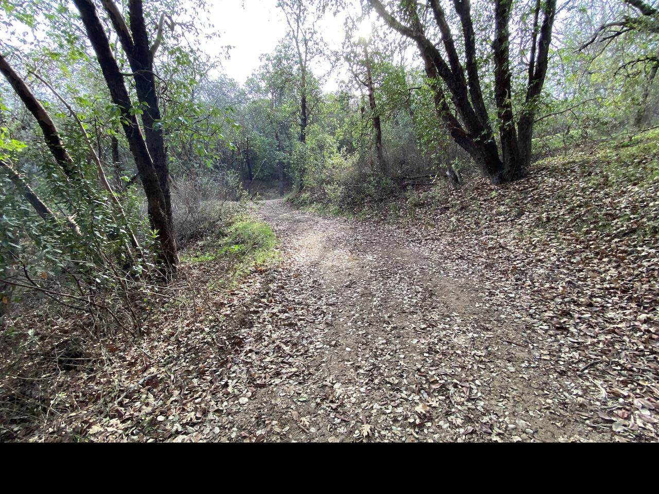 0 Laurel Springs Rd - Photo 1