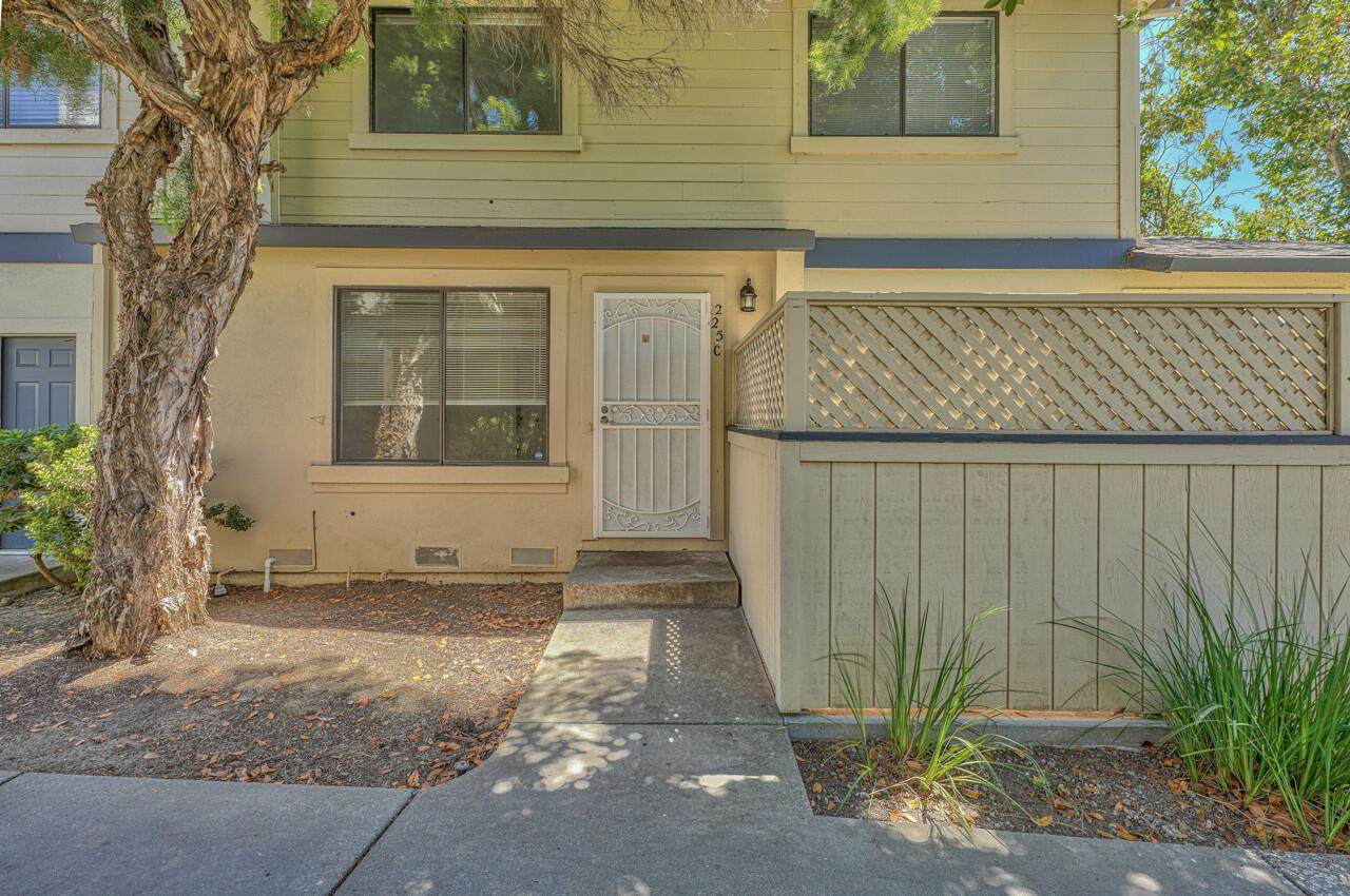 225 Silver Leaf Dr C - Photo 1