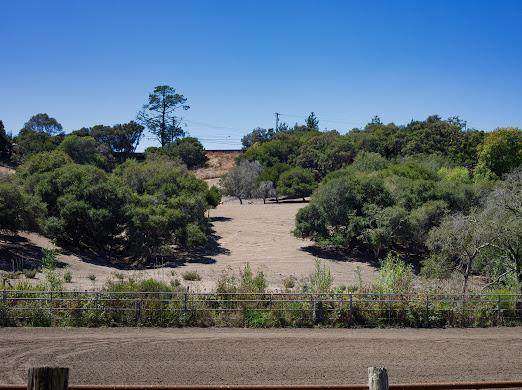 889 Buena Vista Dr - Photo 1