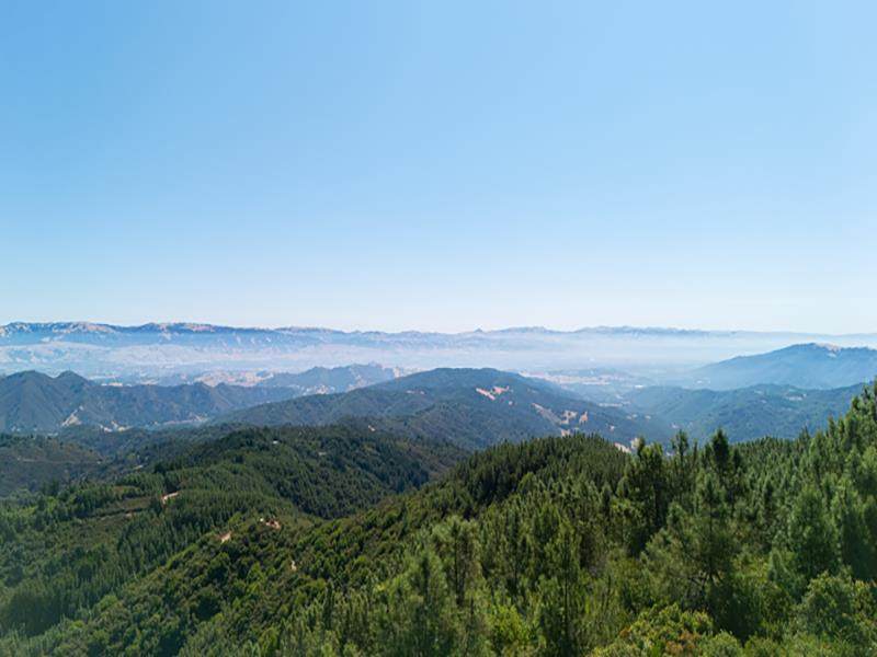 924 Croy Ridge Rd - Photo 1