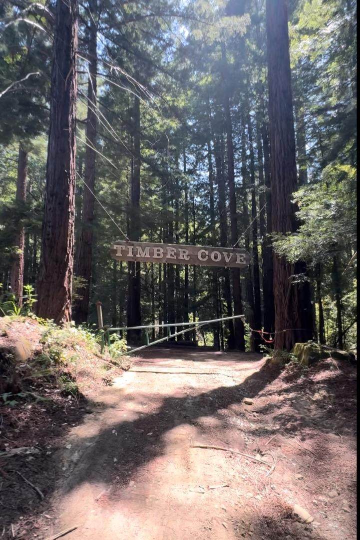 320 Timber Cove - Photo 1