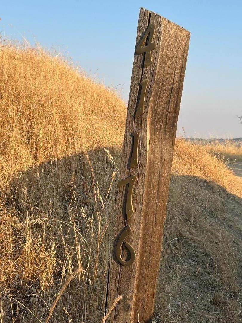 41176 Lilley Mountain Dr - Photo 1